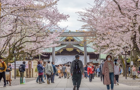 Hanami Starts in Tokyo with Index Tree
