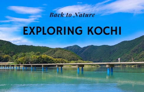 Getting Back to Nature in Kochi