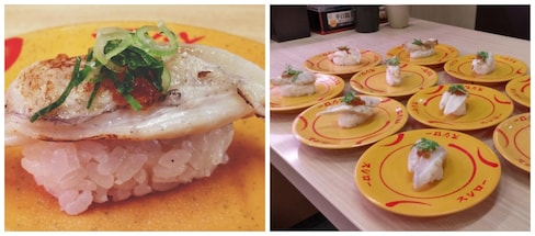 Feast on Fugu at Conveyor Belt Sushi Chains
