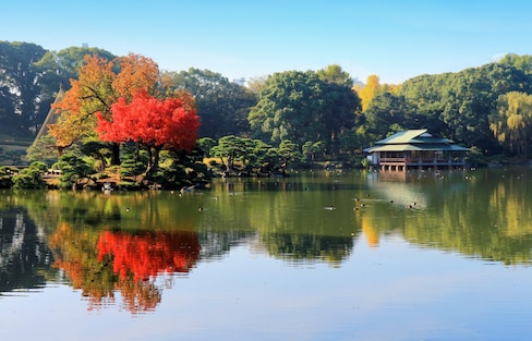 【東京自由行】享受被自然擁抱的靜謐東京旅行新提案
