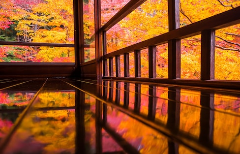 【京都賞楓】漫步瑠璃光院，目睹你從未見過的絕美紅葉美景