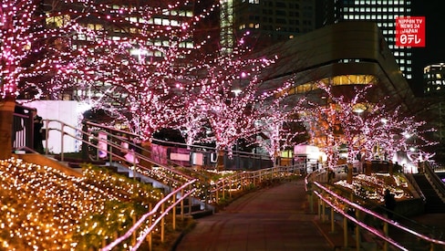 Waste Oil Helps Illuminate Tokyo in Winter