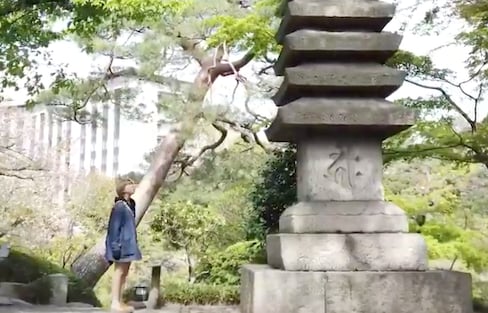 Happo-en: a Japanese Garden Hidden in Tokyo