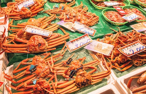 冬季限定的日本海螃蟹＆隱身在紅磚倉庫的米其林推薦餐廳！福井兩天一夜不自駕行程推薦