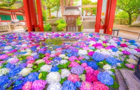Shrines Transform With Colorful Flowers