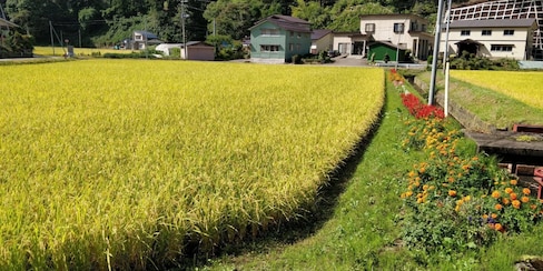 Get Hands-on in Rural Japan: Akita Farm Stay