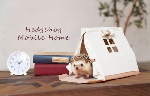 A Portable Home for Hedgehogs on the Go