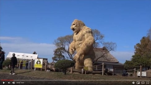 Fukuoka's Giant Gorilla Is Symbol of Strength