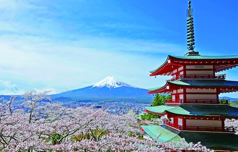 Discover Gems of Japan in the Mount Fuji Area