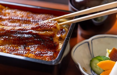食在东京：连续四年米其林推荐！融合法式料理手法的“和多遍”鳗重真真入口即化，不吃就亏大了
