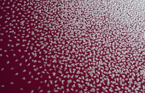 Salt Used to Create Stunning Sakura Artwork
