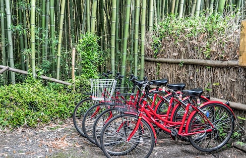 8 Bike Tours in Kyoto