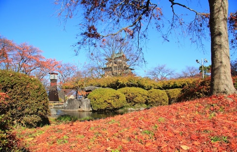 日本长野自由行：诹访古寺与古城的秋日红叶巡礼