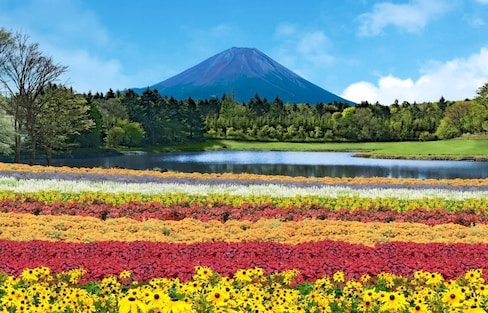 日本自由行：绝对不能错过的富士山网红景点