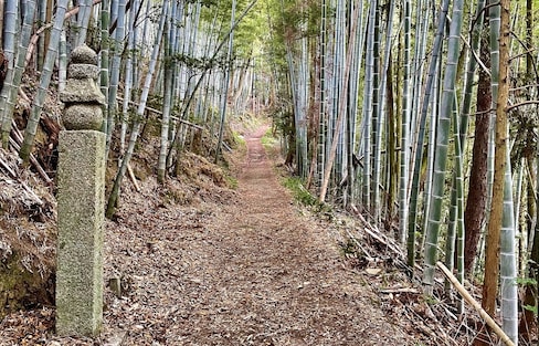 The Road to Koyasan: A One-Day Pilgrimage with Kobo Daishi