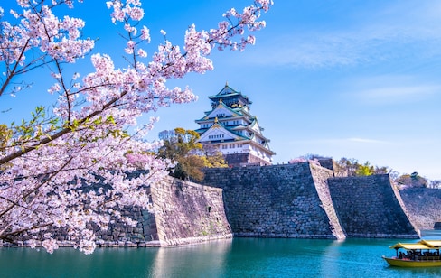 日本自由行：赏樱时间＋日本绝美小众樱花景点揭秘（2023最新）