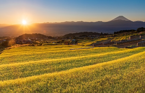 【日本趨勢】深植日本的「永續農業」