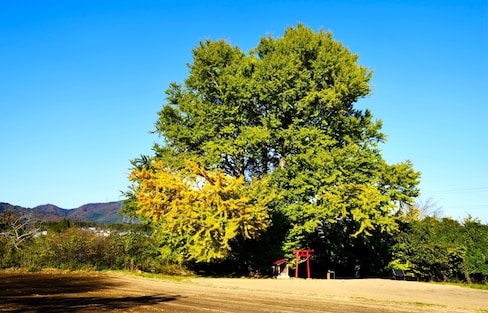 【前進新生福島】秋色當前，太平洋沿岸「濱通地區」的挑戰身姿更顯金黃
