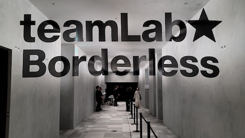 A Guide to the Top Six Rooms at the New teamLab Borderless