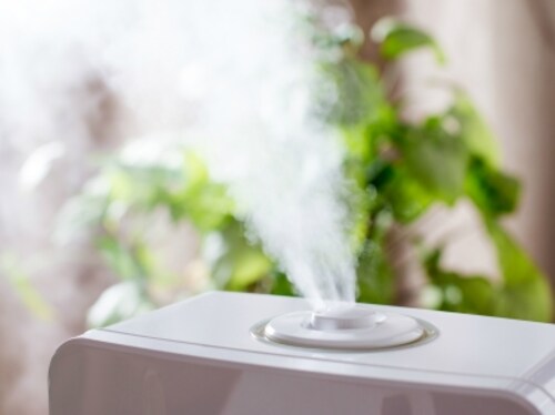 加湿器フィルター掃除 クエン酸を使った手入れ方法 掃除 All About