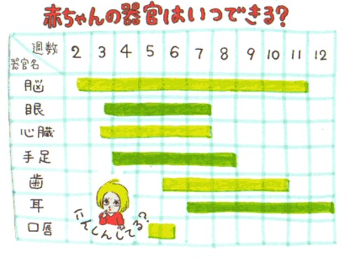 服薬の時期と赤ちゃんへの影響 妊娠の基礎知識 All About