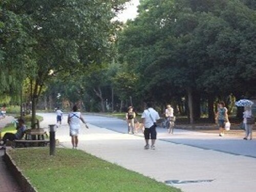 緑でこころを癒そう 公園散歩の勧め 運動と健康 All About