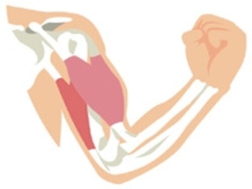 肩こりが原因で、プルプル二の腕になっている可能性も…