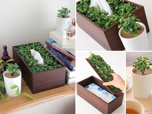 2 4 インテリアグリーンでリビングをセンスアップ インテリアショップ All About