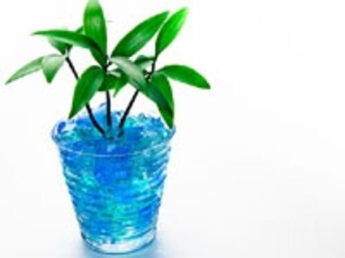 2 2 観葉植物の土 観葉植物 All About