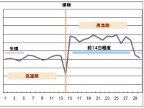 基礎体温の測定は 心身の調子を整える鍵になります ボディケア All About