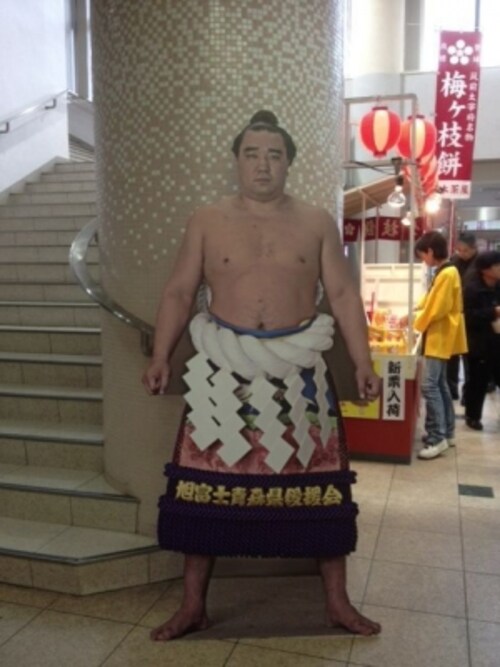 軽量を活かした速い相撲が魅力 横綱日馬富士 大相撲 All About