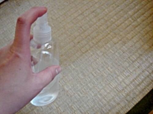エコ家事流住まいの害虫 ダニ 蚊 ノミ 予防 家事 All About