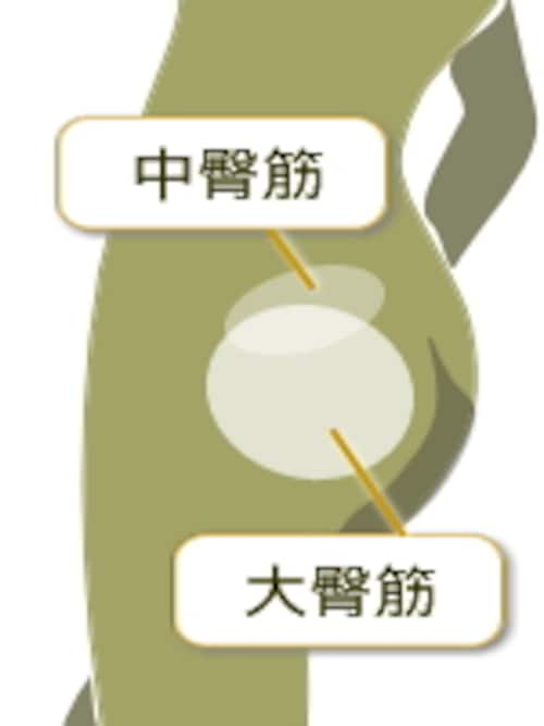 大臀筋と中臀筋を鍛える