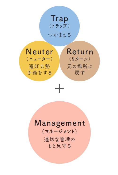 画像出典：『磯辺海苔男という猫』（辰巳出版）