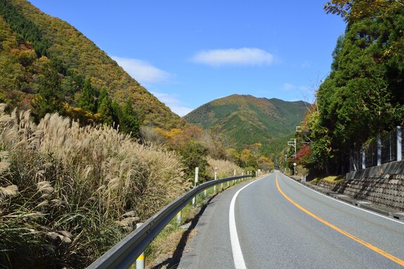 きょうは「立冬」 全国275地点で「冬日」の観測…立冬とは何か