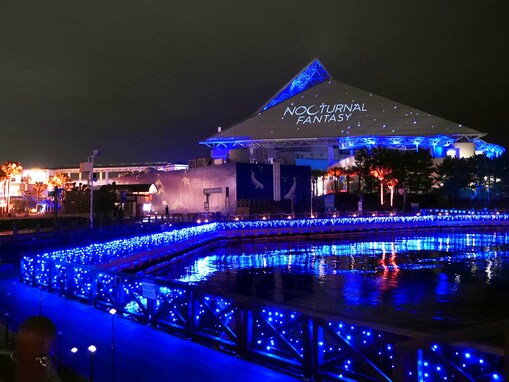 横浜・八景島シーパラダイスで光と映像の冬のナイトイベントスタート