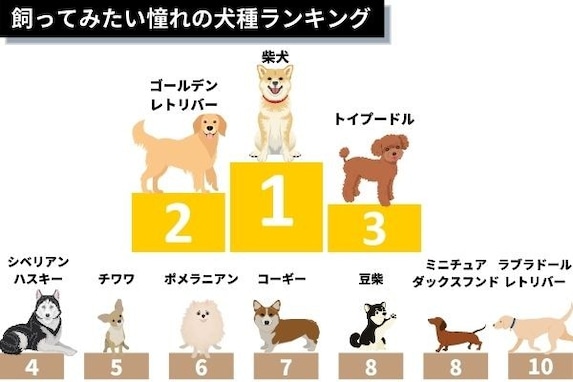 飼ってみたい憧れの犬種1位は？ 飼っている人・いない人で違いが