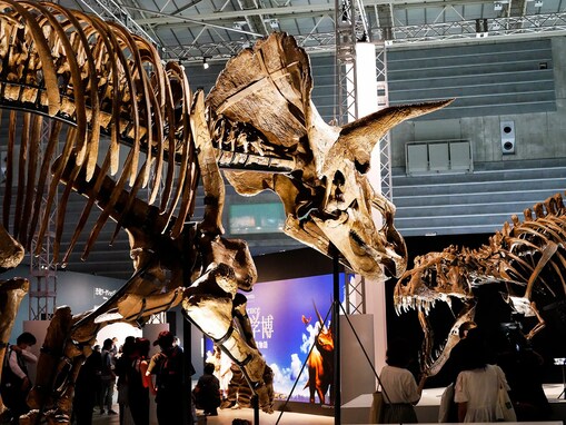 ソニーの最新技術で白亜紀の恐竜が現代に！「DinoScience 恐竜科学博」大迫力の実物全身骨格も展示
