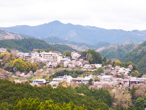 居住者による「県内旅行が人気の都道府県」ランキング！ 3位「秋田県」、2位「徳島県」、1位は前年比約3.4倍の？