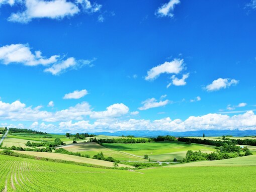 「全国で最も魅力的な都道府県」ランキング！ 1位は13年連続「北海道」、最下位は……？