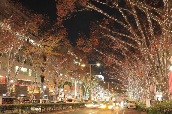 クリスマスに行きたい関東近郊のイルミネーション6選！ 男女170人に聞いた「別格」なスポットとは？
