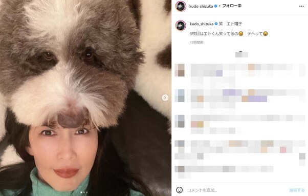 工藤静香、愛犬を“帽子”にした写真に大反響！ 「インスタ開いた瞬間のインパクトが凄すぎて吹きました」