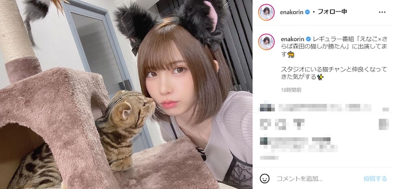 えなこ、猫耳着用で猫とツーショット公開！ 「可愛さで猫に勝てる人類がいたとは」