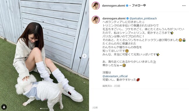 ダレノガレ明美、美脚あらわなショートパンツ姿で保護施設の犬と戯れる！ 「メチャかわいいですね」