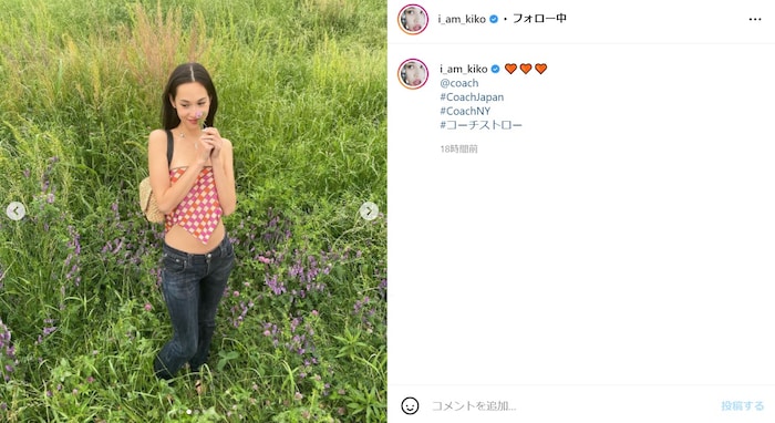 水原希子、草原で肌を大胆に露出したセクシーショット披露！ 「さすがに天使すぎて」「綺麗で素敵です」