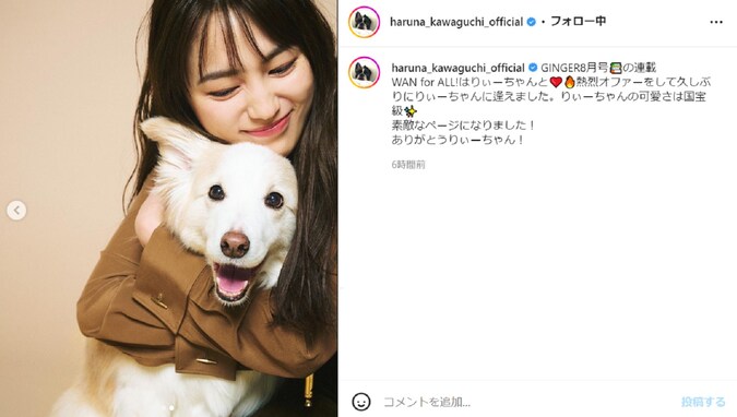 川口春奈「りぃーちゃんの可愛さは国宝級」、犬を抱きしめる愛くるしい姿を披露！ 「とてもステキですね」