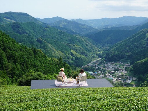 お茶の国・駿河のお茶の楽しみ方がすごい！ 茶畑テラスにお茶カフェ、かき氷……未知なるお茶の世界を体験してきた