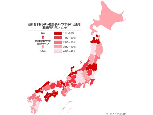 蚊に刺されやすい遺伝子タイプが多い出生地ランキング！ 3位「福島県」、2位「高知県」、1位は？