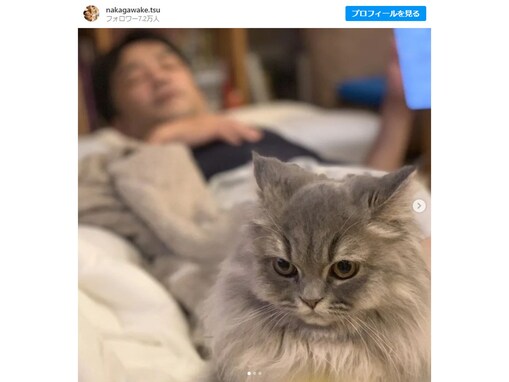 中川家・剛、愛猫の背後でまったりショット公開！ 「安定の可愛さです!!」「癒しをありがとうございます」