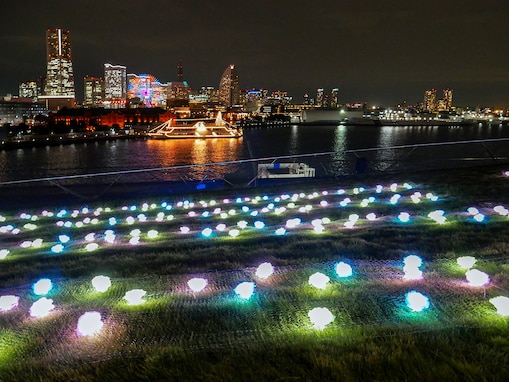 横浜・大さん橋で「横浜港フォトジェニックイルミネーション2022」開催！ 光のバラと横浜の夜景が競演